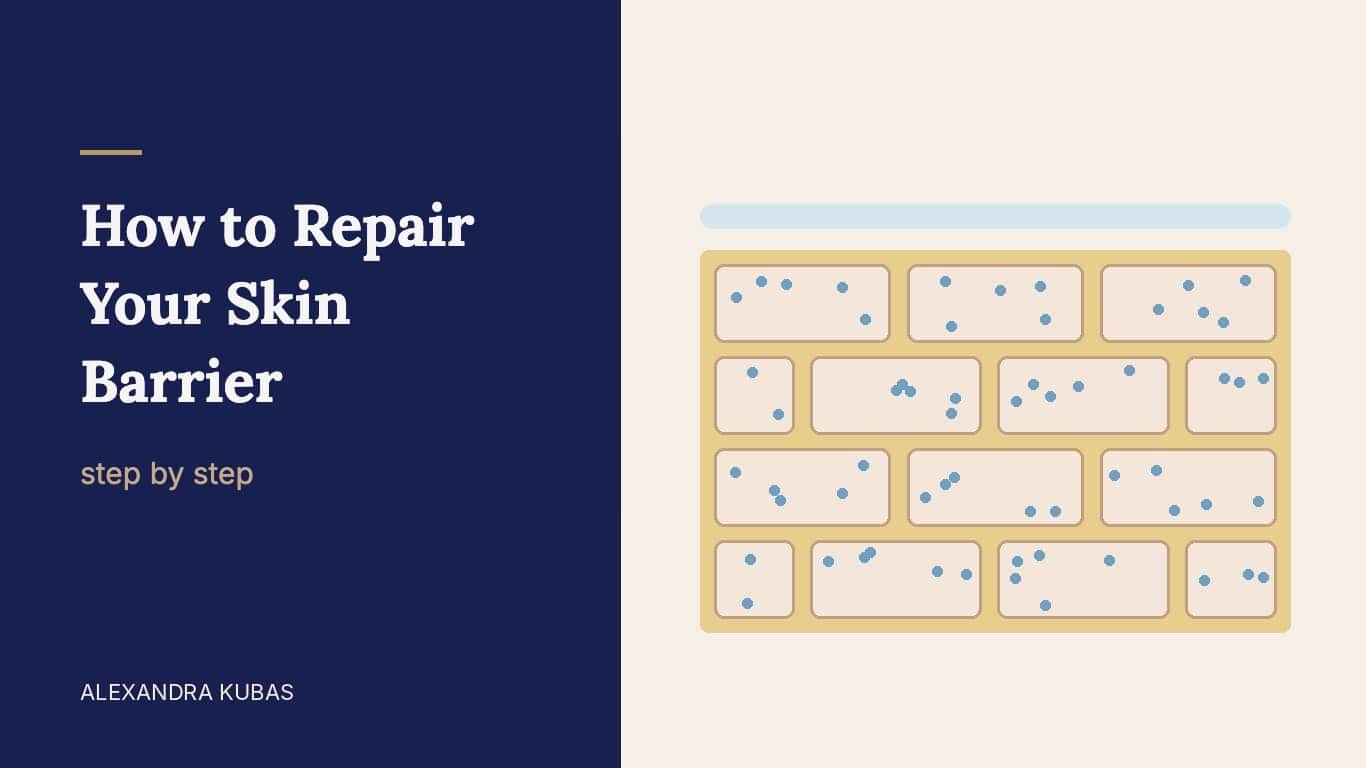 How to repair your skin barrier – skin barrier shown as a brick wall with mortar