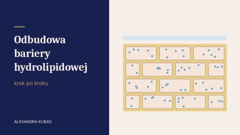 Odbudowa bariery hydrolipidowej krok po kroku - schemat bariery skóry jako muru z cegieł i zaprawy