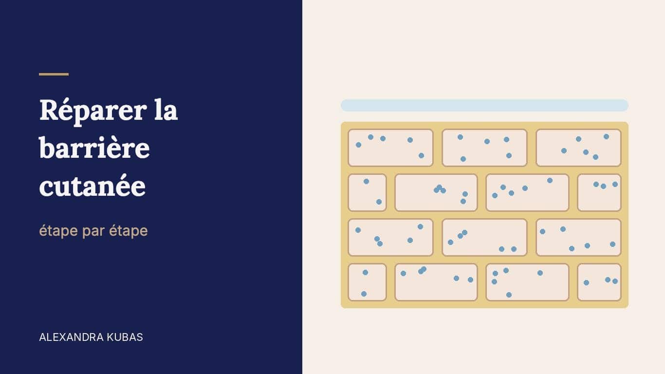 Réparer la barrière cutanée – schéma de la barrière : briques (cornéocytes) et ciment (lipides)